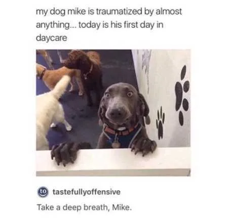 Funny Animal Pictures Youre Going To Love 028