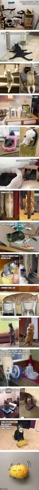 Funny Animal Pictures Youre Going To Love 032
