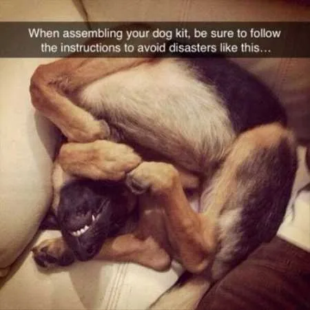 Funny Animal Pictures Youre Going To Love 034