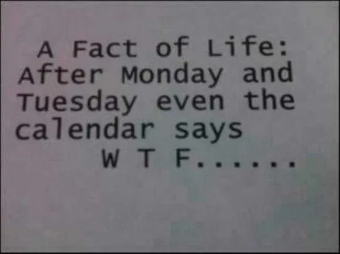 HilariousQuotesAndSayings010