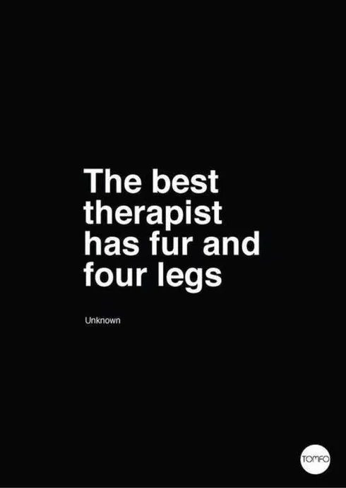 HilariousQuotesAndSayings032