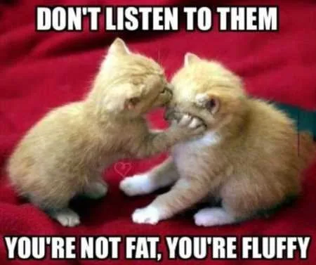 Super Funny And Cute Animal Pictures 003