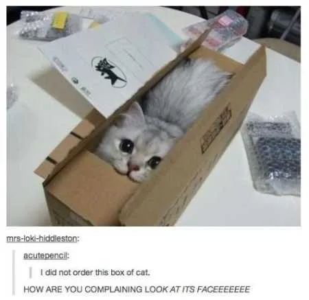 Super Funny And Cute Animal Pictures 008