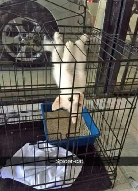 Super Funny And Cute Animal Pictures 020