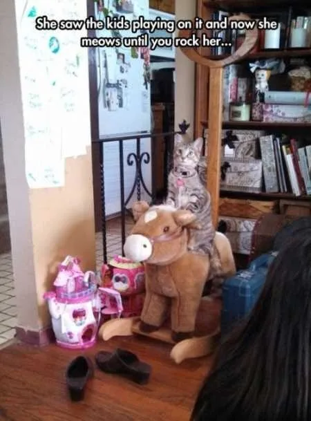 Super Funny And Cute Animal Pictures 022
