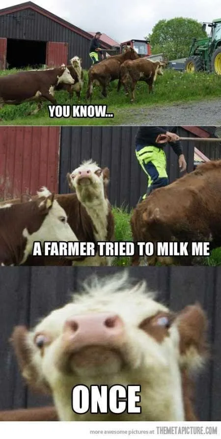 Super Funny And Cute Animal Pictures 027
