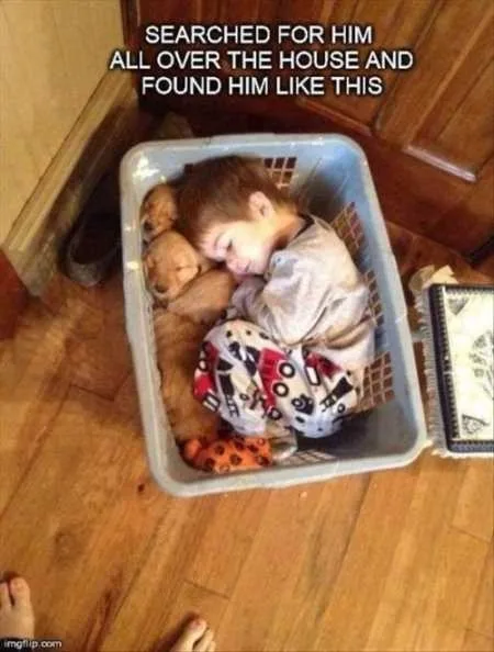 Super Funny And Cute Animal Pictures 032