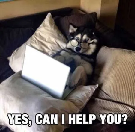 Funny Animals Youre Sure To Love 004