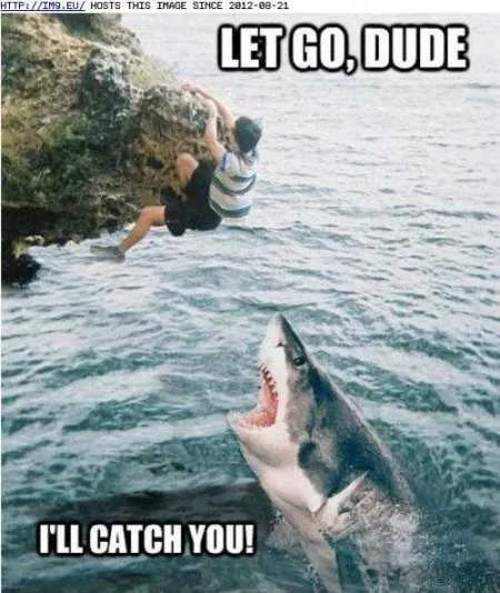 Funny Animals Youre Sure To Love 011