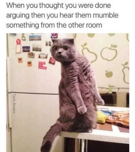 Funny Animals Youre Sure To Love 027