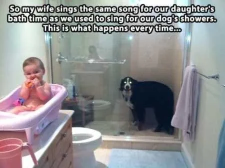 Funny Animals Youre Sure To Love 029