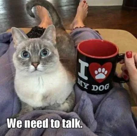Funny Animals Youre Sure To Love 033
