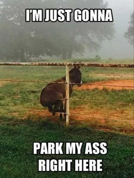 Funny Pictures About A Donkey Sitting On A Fence With Caption I'm Just Gonna Park My Ass Right Here.