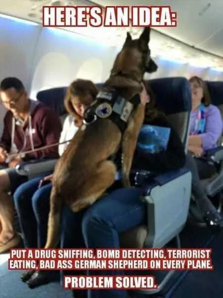 Funny Picture Of A German Shepherd Sitting On It's Owners Lap On An Airplane With A Caption: Put A Drug Sniffing, Bomb Detecting, Terrorist Eating, Bad Ass German Shepherd On Every Plane. Problem Solved.