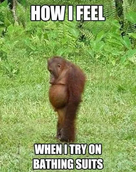 A Funny Picture Of A Chimp With A Pot Belly And A Sad Face Captioned How I Feel When I Try On Bathing Suits.