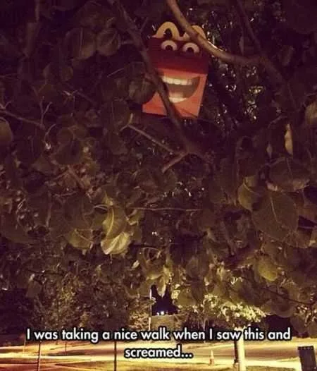A Funny Picture With A Mcdonald's Happy Meal Box Stuck In A Tree