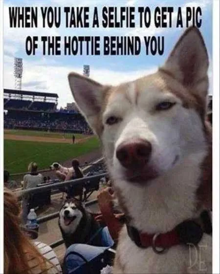 Great Funny Animals Pictures 0002