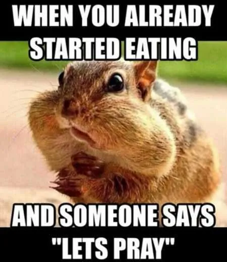 Great Funny Animals Pictures 0031