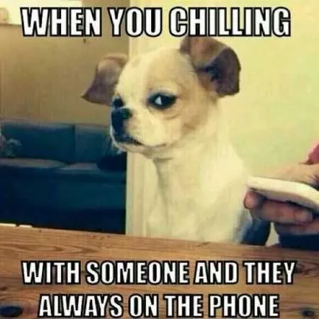 Great Funny Animals Pictures 0034