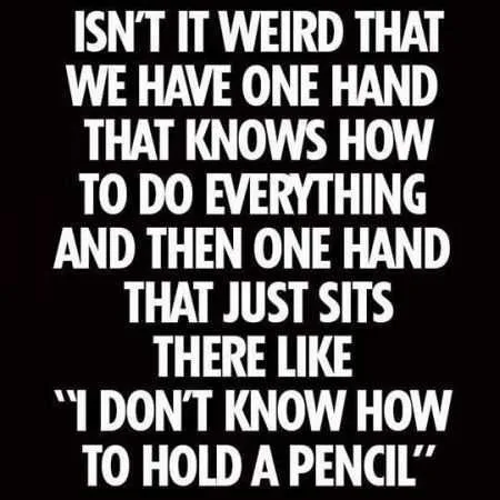 Hilarious Quotes 005