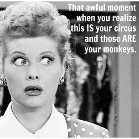 Hilarious Quotes 014