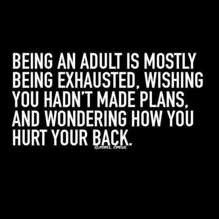 Hilarious Quotes 018