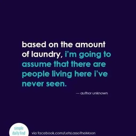 Hilarious Quotes 034