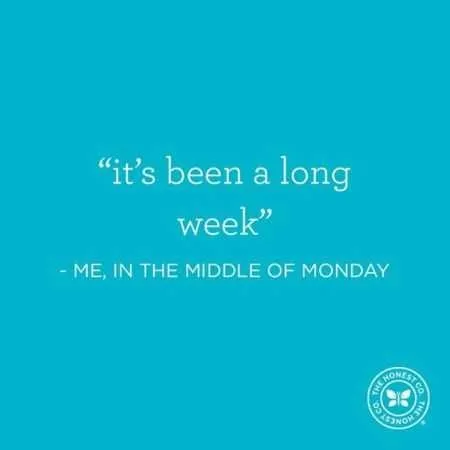 Hilarious Quotes 036