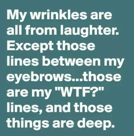 Hilarious Quotes 037