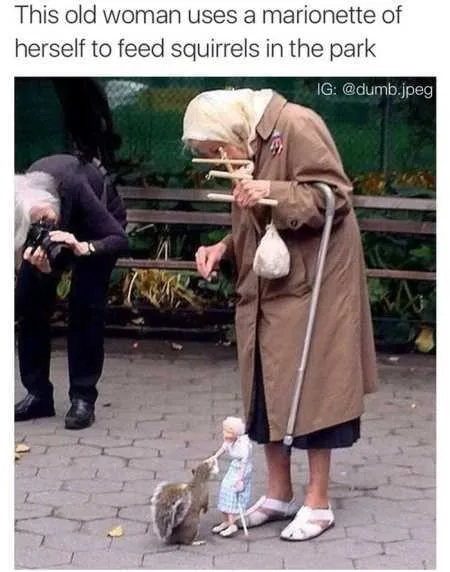 Absolutely Hilarious Animal Pictures 328