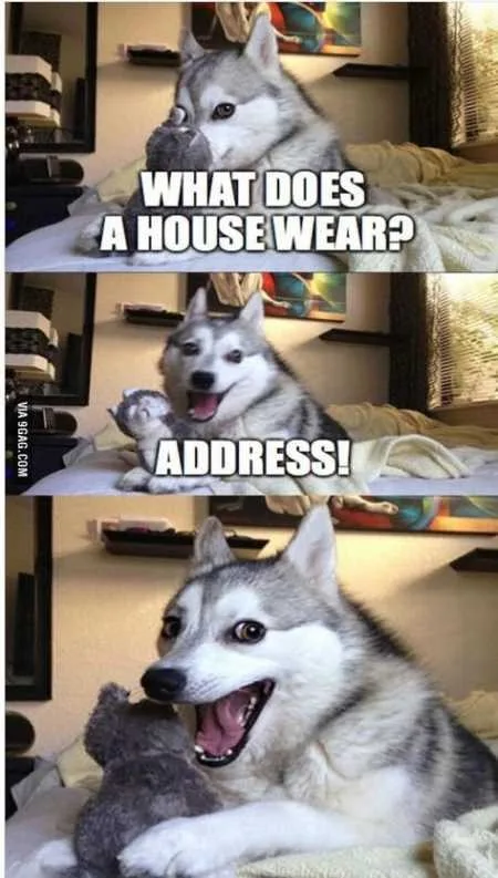 Absolutely Hilarious Animal Pictures 340