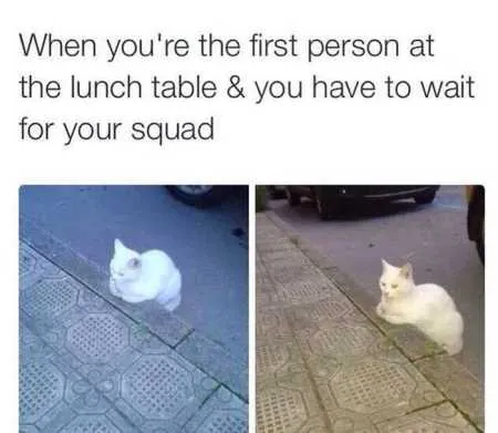 Funny Pictures Cant Stop Laughing 216