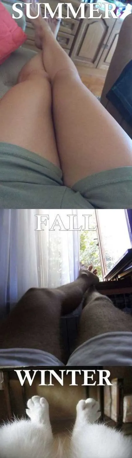 Funny Pictures Cant Stop Laughing 221