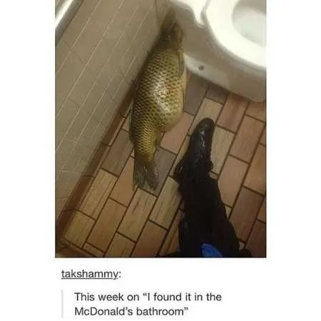 Funny Pictures Cant Stop Laughing 231