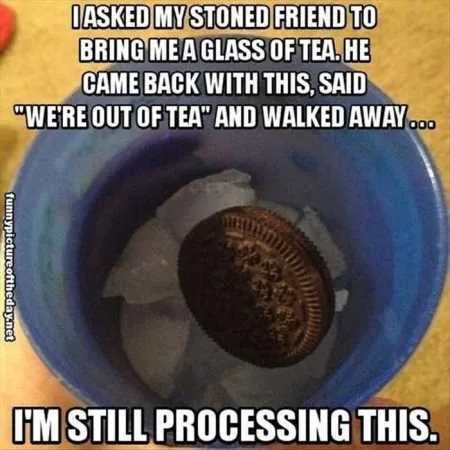 Funny Pictures Cant Stop Laughing 233
