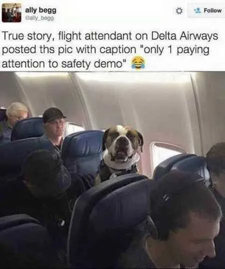Hilarious Pictures 503