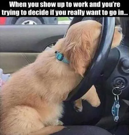 Hilarious Pictures 511