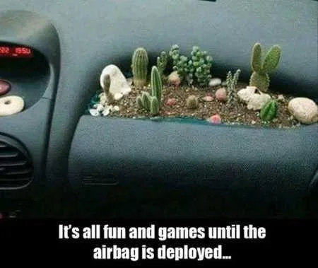 Hilarious Pictures 515