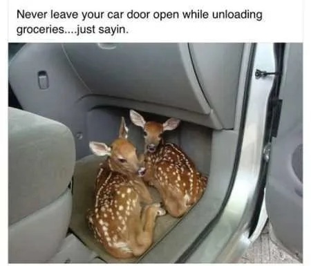 Hilarious Pictures 516