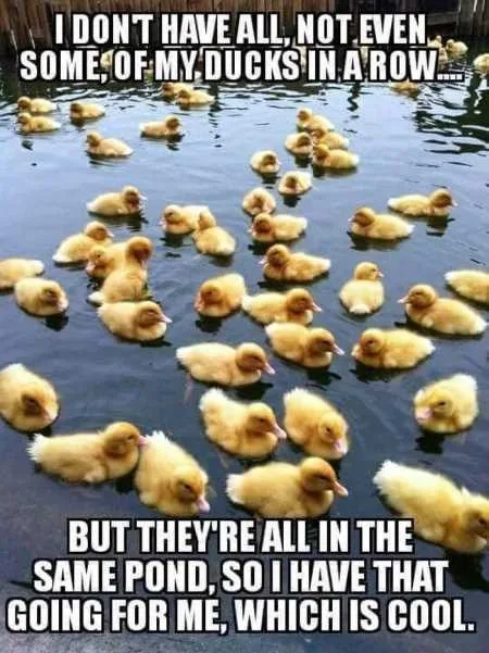 Hilarious Pictures 517