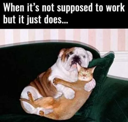 Hilarious Pictures 520