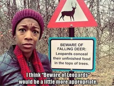 Hilarious Pictures 524