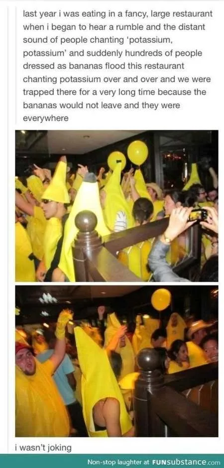 Hilarious Pictures 533