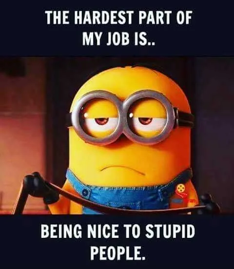 Minion With Caption The Hardest Part Of My Job Is Being Nice To Stupid People