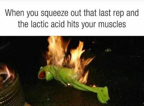 Gym Lactic