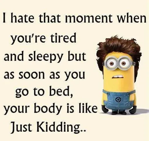 Minion Bodysleep