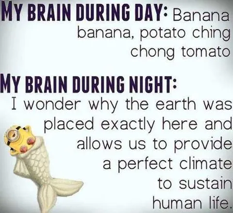 Minion Brain