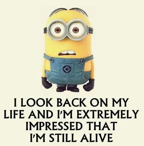 Minion Lookback