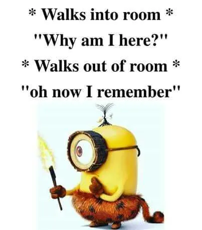 Minion Roomwalk