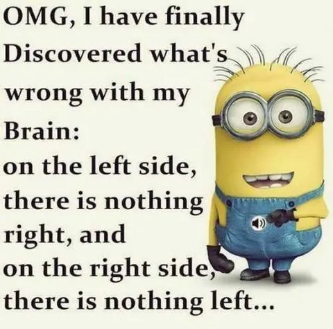 Minions Rightbrain